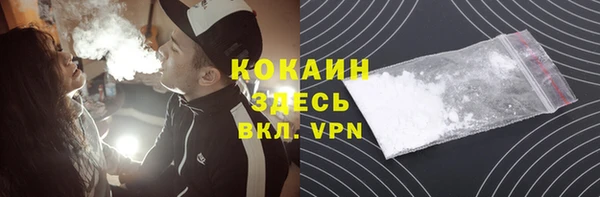 гашик Алексин
