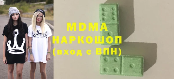 гашик Алексин
