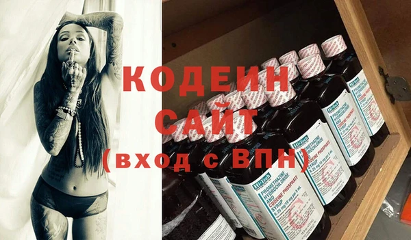 гашик Алексин