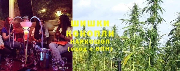 гашик Алексин