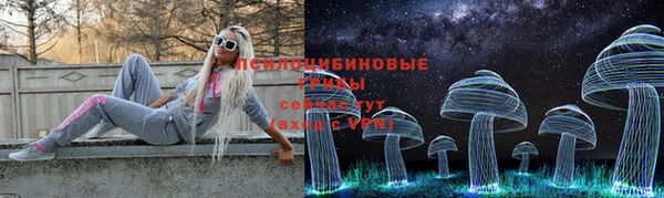 гашик Алексин
